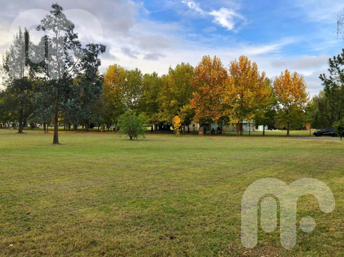Imagen 6 de 10 de Venta Terreno - Club Miralagos