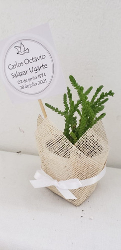 Imagen 2 de 6 de Cactus Y Suculentas Personalizadas, Recuerdos, Detalles