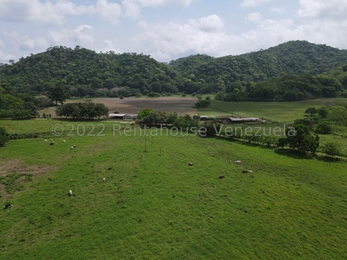 Imagen 2 de 30 de Finca En Venta San Felipe 1500 Ha, #23-14481