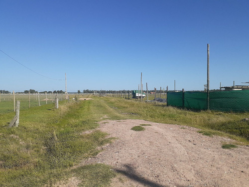 Imagen 3 de 3 de Vendo Lotes En Domselaar,excelente Zona (calle Matienzo)
