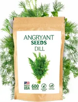 Comprar Semillas De Eneldo Para Plantar Jardin De Hierbas Semillas S