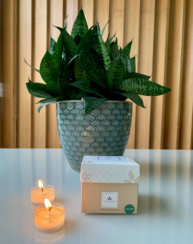 Imagem 5 de 5 de Kit Vela Aromática Premium Alecrim C/12 Mini Velas