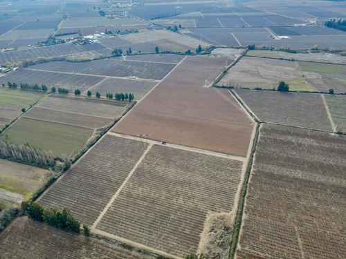 Venta De Campo Agrícola En Rengo Id 89.188-cam