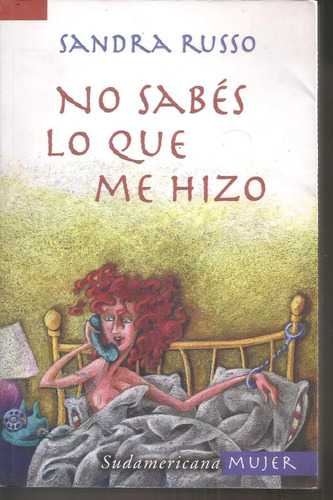 No Sabés Lo Que Me Hizo - Sandra Russo 