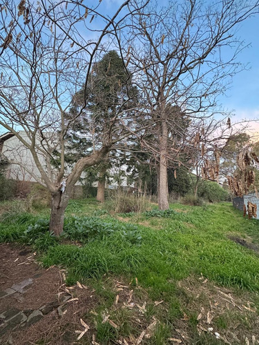Terreno En Venta En Melchor Romero