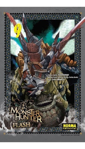 Monster Hunter Flash 9 - Hikami -  Norma