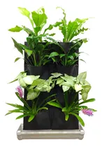 Comprar Jardines Verticales Mòdulos Colgantes Pared Verde Jv-3