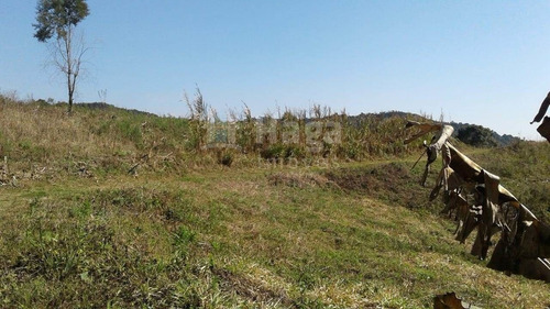 Imagem 5 de 10 de Chácara À Venda Em Vidal Ramos/sc - 1454c