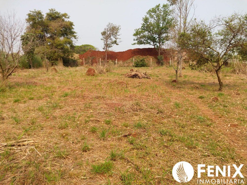 Imagen 6 de 12 de Tf470 - Hectarea En Venta. Z/ Itaembe Mini.