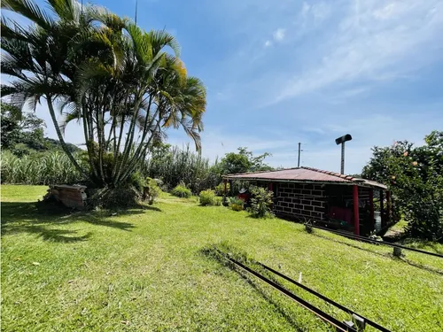 Se Vende Finca Productiva En San Roque, Antioquia.