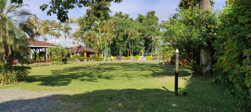 Imagen 4 de 26 de Finca De Alquiler Por Días El Congolo Pereira