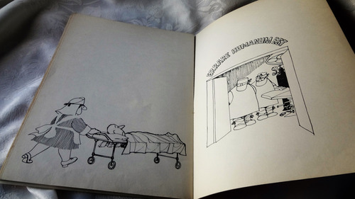 Quinoterapia- Quino (para El Cuerpo Médico) (Usado)