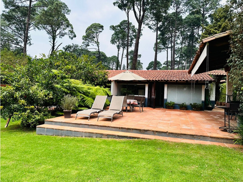 Casa Alamo