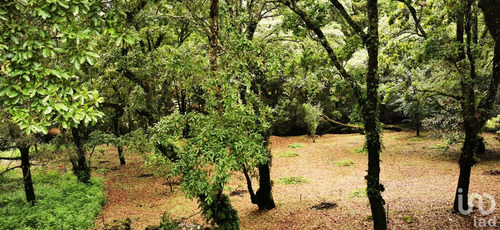 Venta Terreno 0 Ambiente Los Ocotes