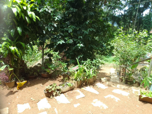 Sítio Com Terreno 30.000m2