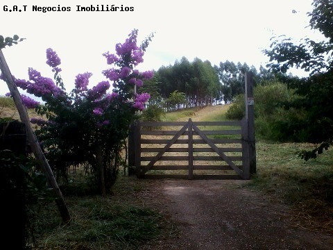 Imagem 11 de 24 de Área, Venda, Brigadeiro Tobias - Sorocaba/sp - Ar00537 - 2633209