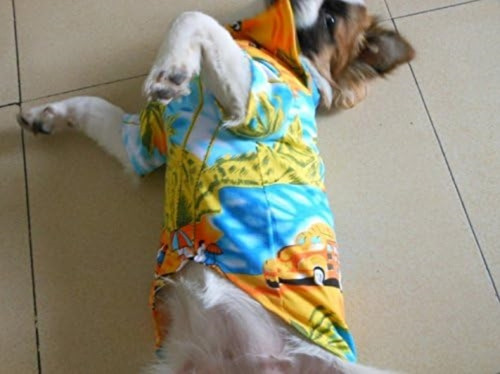Tangpan Hawaiian Beach Cocotero Estampado Perro Camisa Veran