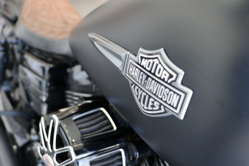 Imagen 8 de 21 de Harley Davidson Fat Bob 1.600 Cc