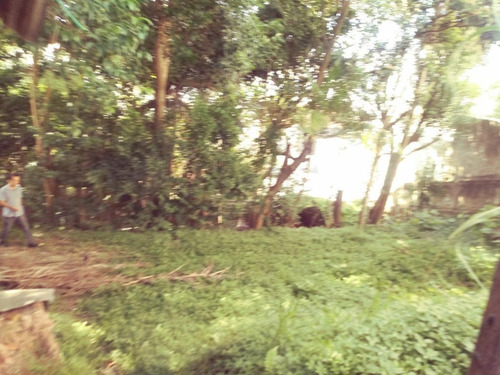 Imagem 10 de 25 de Terreno À Venda, 856 M² - Jardim Olavo Bilac - São Bernardo Do Campo/sp - Te4141
