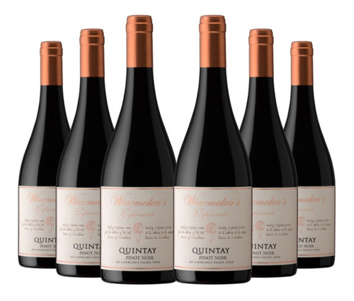 6 Vinos Quintay Experience Pinot Noir