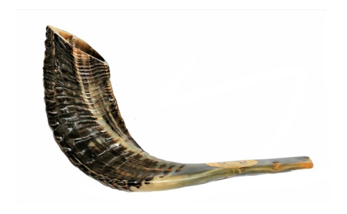 Imagem 3 de 8 de Shofar Chifre De Carneiro De Tocar - 34 A 37 Cm - De Israel