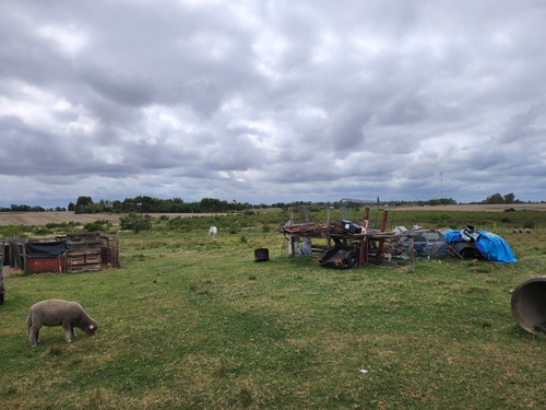 Campo Sobre Ruta