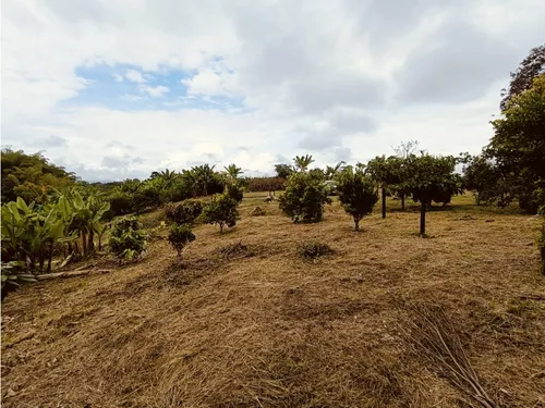 Se Venden Lotes En Quimbaya - Quindío