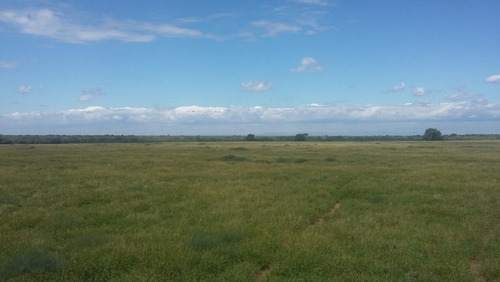 Imagen 8 de 30 de Se Vende Campo En Cordoba Listo Para Trabajarlo