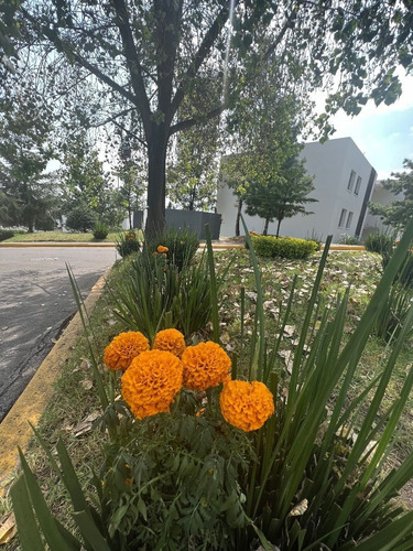 Vendo Piso Residencial En Lago Esmeralda Cod. Dev213