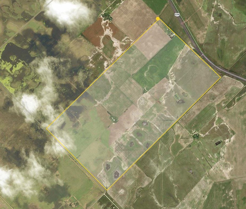 Campo Mixto En Venta 292 Has En Carlos Tejedor Sobre Ruta 226 Oportunidad!