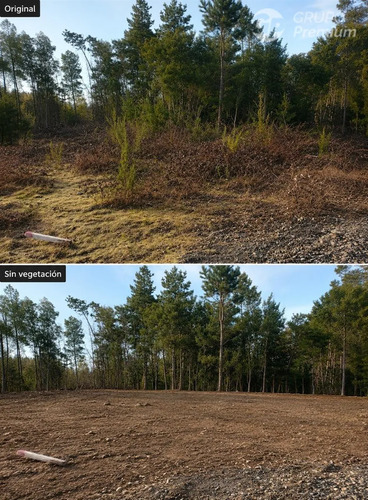 Parcela En Venta 5000m2 Con Apr Yungay