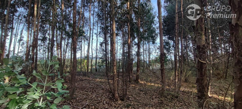 Predio Forestal Y Parcelas En Venta En Arauco