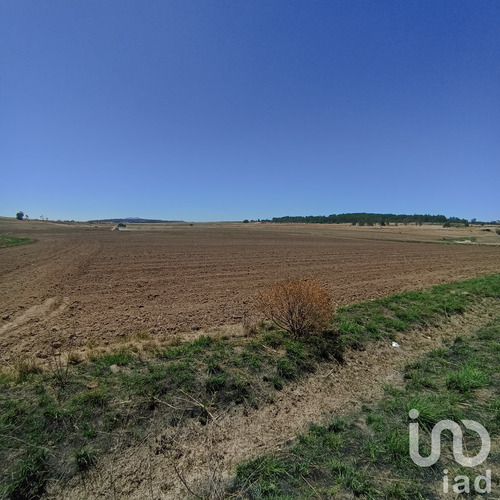 Venta Terreno 0 Ambiente Jacal De La Piedad