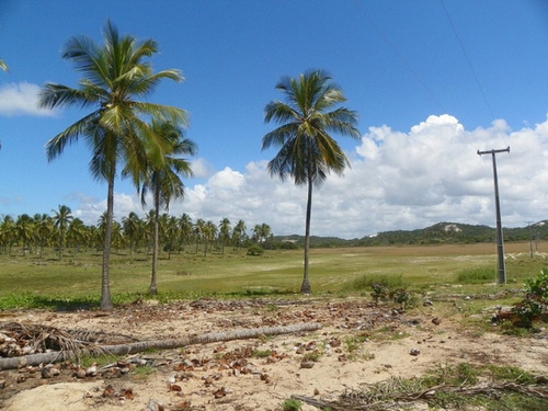 Imagem 17 de 19 de Terreno Frontais Ao Mar, Na Praia De Costa Azul, Litoral Norte Da Bahia - Ar386