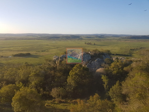Imagen 3 de 30 de Campo 81 Hás Grutas De Salamanca