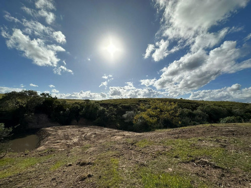 Quinta En Venta En La Garzona