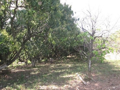 Imagem 8 de 14 de Venda - Chácara Aparecidinha / Sorocaba/sp - 2861