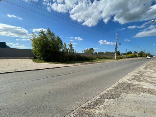Imagen 2 de 9 de Venta Terreno Industrial Dique Lujan