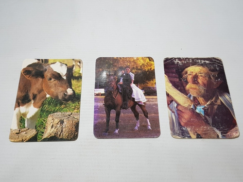 Imagen 6 de 6 de Caballos Antiguos Almanaques De Bolsillo 1978/95 Mag 57200