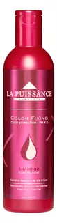 La Puissance Fijador De Color Shampoo Teñidos 300ml 6c