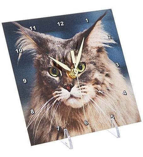 3drose Llc Maine Coon Reloj De Escritorio De 6 Por 6 Pulgada