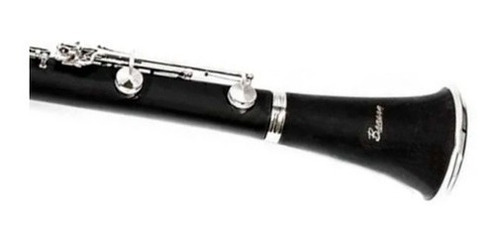 Imagem 2 de 8 de Clarineta Clarinete Benson Bcl-1bn 17 Chaves Com Case Luxo