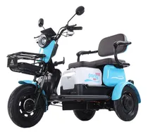 Comprar Triciclo Electrico Adulto Autonomía 65km Velocidad 35km\u002Fh