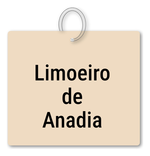 14x Chaveiro Limoeiro De Anadia Mdf Recordação C/ Argola