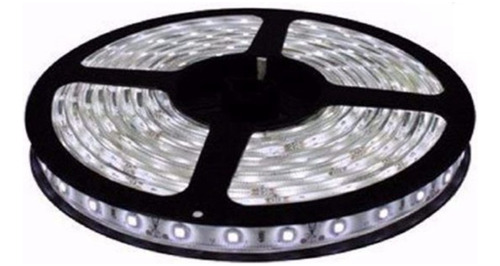 Tira Led Candela 7347 Luz Fría Exterior 12v 5mts 300 Leds