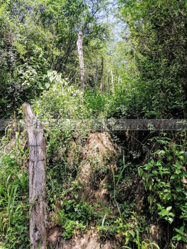Imagen 13 de 16 de Terreno Para Desarrollar En Venta En El Barro, Monterrey, Nu