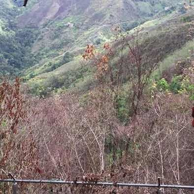 Imagen 3 de 8 de Terreno El Tigrito 349mtrs Con Cerca Del Alfajor