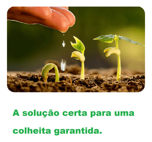 Adubo Liquido Foliar Solo 5 Lts/cada1 Ureia + Turfa = 10lts
