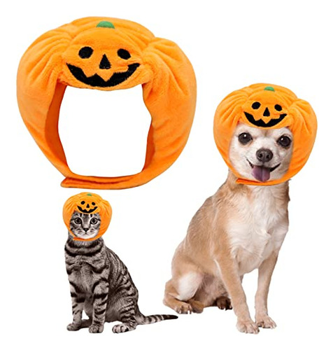 Disfraz Perro Gato Halloween Calabaza Divertida - Talla S