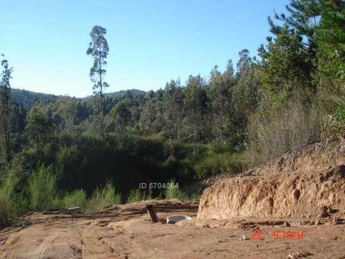 Imagen 5 de 21 de Camino Nonguen S / N , Sector Reserva De Nonguen Concepc...
